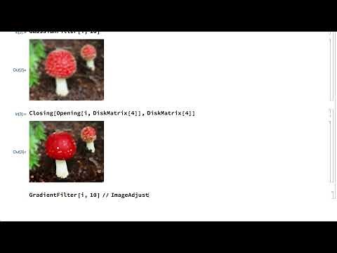 Introduction to Image Processing: Mathematical Morphology