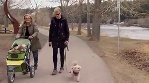 3.7K views · 57 reactions | No way — it actually feels like spring outside. It was the first time we've seen 20 C in many, many months. | CBC Calgary | Facebook