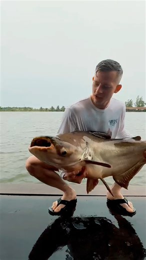 30K views · 398 reactions |  Special visitors from Austria  and...