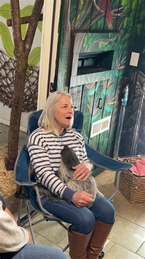 Baby sloth cuddles | Ocoee Riverside Farm