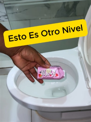 Secreto Limpieza Inodoro Hogar Feliz