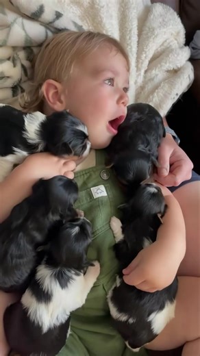 107K views · 3.6K reactions | The sweetest thing you’ll see all day...