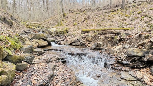 Wooded Hunting Land With Stream In Venango County, PA | Whitetail Properties