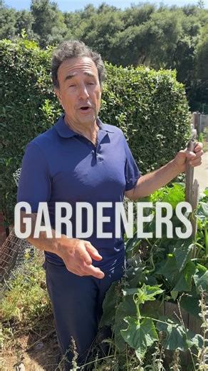 We now spend 93% of life indoors