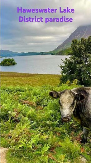 Haweswater Wild camping 🏕️ Lake District 🇬🇧