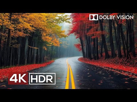 Most Relaxing 4K Video Ever (60fps HDR Dolby Vision)