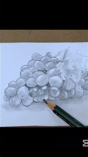 How to draw a realistic Grapes #art #pencildrawingtutorial