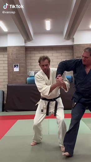 Nikyo - sankyo - koshi nage - armbar 🥋🙏🏻 #vanzep #aikido #айкидо