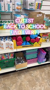 474K views · 1.2K reactions | CUTEST BACK TO SCHOOL FIND EVER AT DOLLAR TREE! ️ #dollartree | Dollar Tree Dollie | Facebook