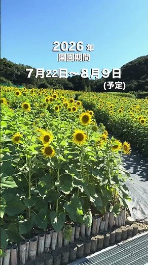 Comment "🌻" if you want to go!♪