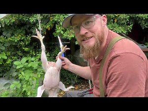 How To Humanely Kill A Chicken ... Ross Cobb Kill and Cook!