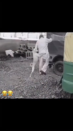 Are we safe? | Dropa Lucky