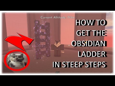 How to get Obsidian Ladder in Steep steps!