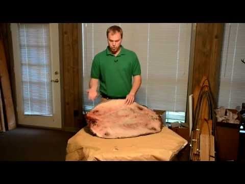 Beaver Trapping- Fur Preparation