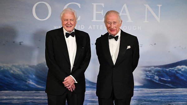 King Charles sends David Attenborough a birthday card with an endearing animal relay sketch