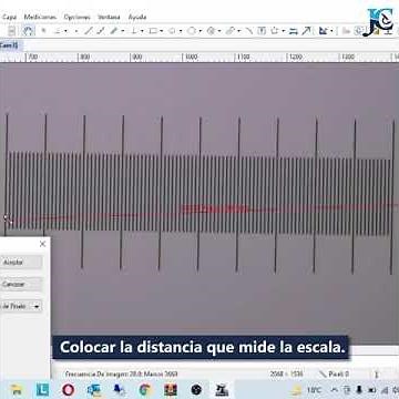 OPTIKÁPSULA: ¿Cómo usar Proview para realizar mediciones en un microscopio Optika?