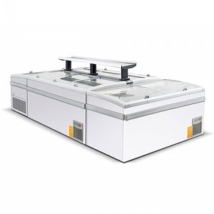 [Hot Item] Horizontal Freezer with Microcomputer Control, 220V Rated Frequency