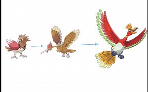 宝 可 梦 进 化 图 表 2