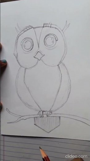 Nature's night watcher#owlart