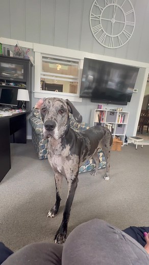 This girl. Throwing a fit. Not getting exactly what she wants immediately. We’ve raised a brat. 😂🩷🩷🥰🥰 | Jenny Richardson