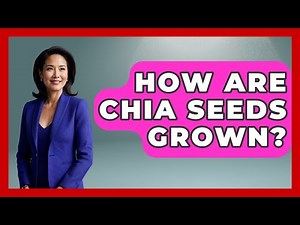 How Are Chia Seeds Grown? - The World of Agriculture
