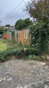 Bush Vs Shredder = elimination 😮 | The Bald Builders