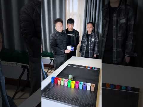 Precocious parrot earns Guinness World Record for identifying colors