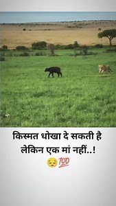 1.7K views · 45K reactions | #वायरल #ट्रेंडिंग #रील्स ️ IP प्राप्त...