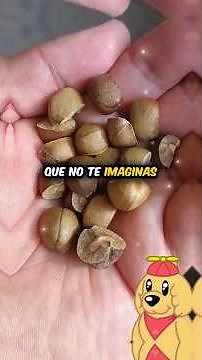 MAGIC TOYS YOU WON'T IMAGINE HOW THEY WORK! #toys #magic #shorts