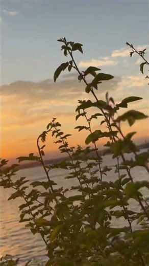 21 de diciembre de 2025