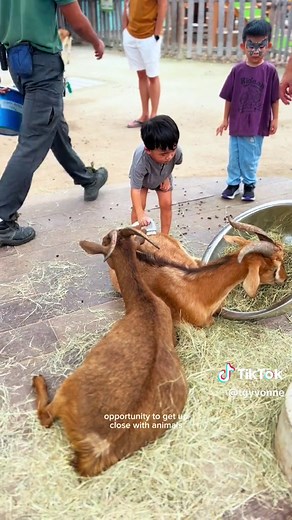 KidzWorld: A Family Adventure at Singapore Zoo!