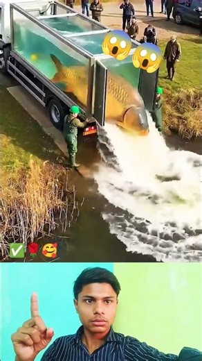 Trust Allah—He Has the Best Plan 🤲✨#Shorts#TrustAllah #Motivation #ViralShorts #Muslim#IslamicVideo