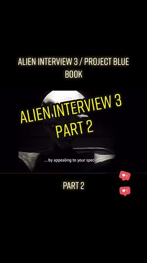 BeeSerious on TikTok