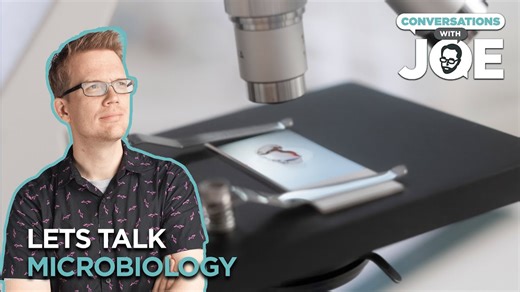 Hank Green's Journey To The Microcosmos ¦ Conversations With Joe Clip