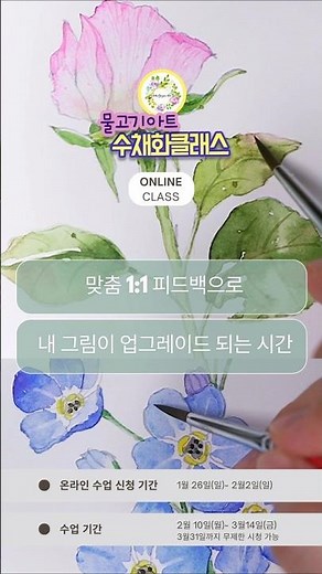 수채화 기초강좌 꽃그림으로 배우는 수채화 /물고기아트 아뜰리에