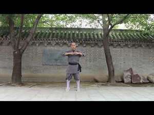 Shaolin Shi Shan Quan (Level 1) 少林十三拳 一段 | Traditional Kung Fu Demonstration at Shaolin Temple