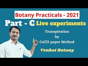 Botany Practicals | Part C | Live Experiments | Transpiration by Cobalt Chloride Paper Method