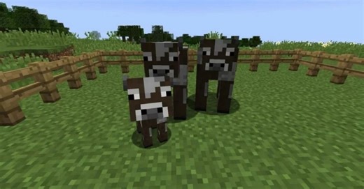 Top 3 animals easiest to breed in Minecraft 1.18
