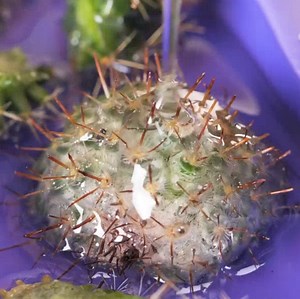 349K views · 1.4K reactions | Amazing DIY ideas from epoxy resin! | 5-Minute Crafts Family | Facebook