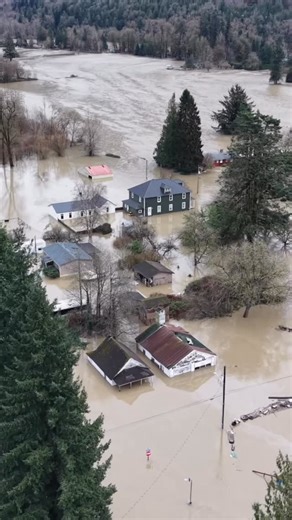 Washington Weather Chasers on Instagram: "Really a quite sad scene today. Major Flooding in the town of Hamilton, WA. #wawx #weather #flooding #weather #atmosphericriver #video"