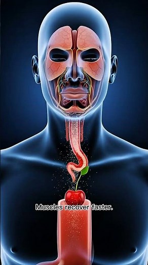 Eat One Cherry… Then Watch What Happens Inside Your Body 🍒😳