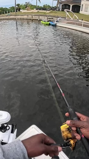 Top Water Plug Snook Fishing Techniques