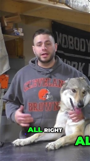 Pricing woodworking is tough! I still struggle, even after submitting a $79k bid. Let's break down the best way to price your work. #Woodworking #DIY #WoodworkingTips #Pricing #BusinessTips