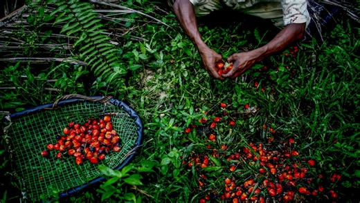 Navigating Success and Setbacks in Photography