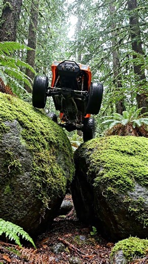 #automobile #toyhouse #rc #rcoffoad #rctoys #offroad #rctoy