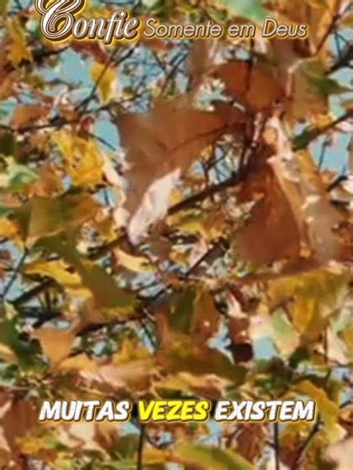 Thank you LORD 🙏🙏🙏 Stay with me, deliver me from the wrong path, guide my steps, amen 🙏