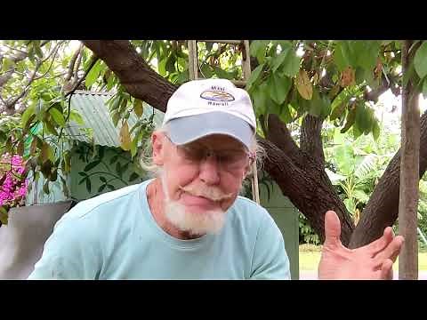 How to spray tall trees