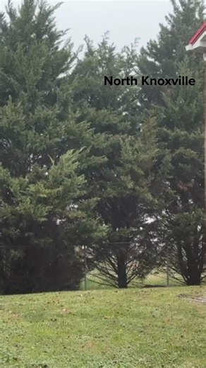 6.1K views · 68 reactions | People across East Tennessee enjoyed the snowfall today ❄️ | WBIR Channel 10 | Facebook