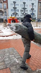 61K views · 426 reactions | Najtwardsi zawodnicy czekali od 6 rano! Na Rynku zaczęła się akcja RMF-u " Choinki pod choinkę". Radio i województwo małopolskie rozdają żywe choinki. Ale swoje trzeba odstać. | bytomski.pl | Facebook