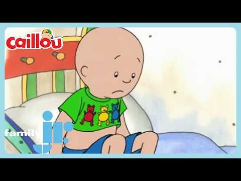 Caillou - Teddy Shirt | Family Jr.